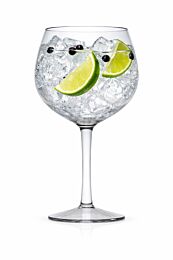 Glas Ballon Gin Tonic in kunststofTritan (8)