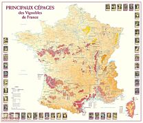 Kaart Principaux Cépages des Vignobles de FRANCE geplooid